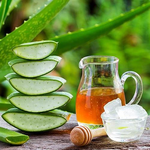 Aloe vera fresco con miel — planta habitual en infusiones y preparados